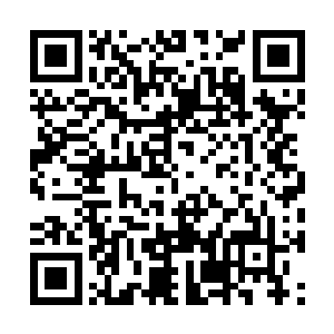 接连祭出了一件中阶剑形法器和一件高阶盾形法器二维码生成