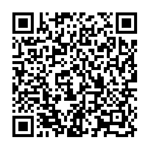 接那鼓槌晃一晃一阵模糊之中其余五只魔掌内同时各出现了一个一模一样鼓槌来二维码生成