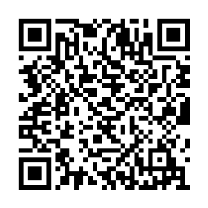 接邻护城河水渠的是一条比较幽静的林荫水泥路二维码生成