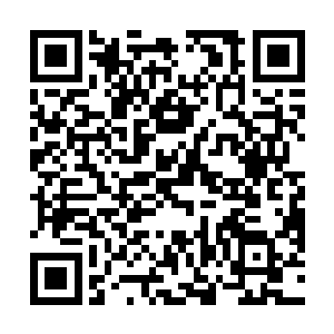 控制了江南这一最富庶地区黑市内一半以上的药材流通二维码生成