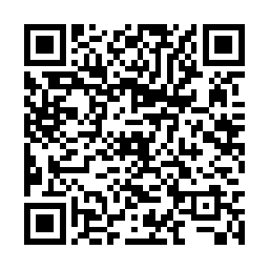 控制住了大炎龙雀的每一个法宝单元和每一座符阵二维码生成