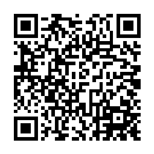 控制温度梯度的水浴锅……就是要能快速变温的水浴锅了二维码生成