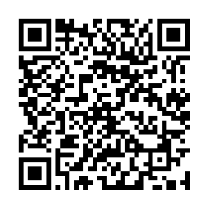 控制空中的真血王冠再次划破空间对手掌刺了过来二维码生成