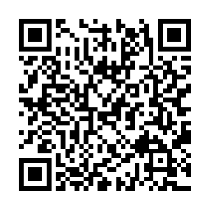 控制还真塔小心翼翼的朝着古斯塔所在的血池前进二维码生成