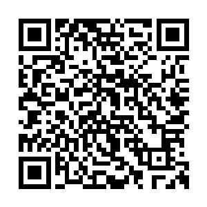 掩护住了被永康侯府和皇帝双管齐下拦截的燕亭二维码生成