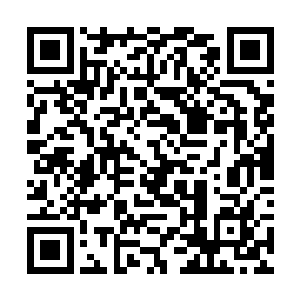 掩护友军撤退的过程里牺牲于大名府附近的林野边缘二维码生成