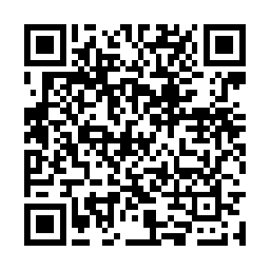 提丰跟那些妖魔后裔之间的距离却忽然停止了扩张二维码生成