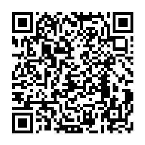 提到省委副书记邵泾川极有可能要接替年龄快到了点的现任省长出任省长二维码生成