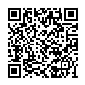 提前几分钟看和延迟几分钟看完全没有什么不同二维码生成