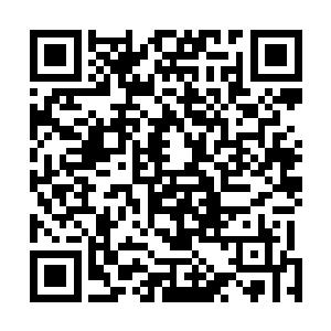 提前开辟了一座规模极大的传送阵和一条宽敞无比的隧道二维码生成