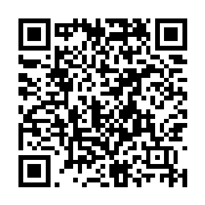 提前恭贺希尔顿夫人成为水晶基金的首任执行理事二维码生成