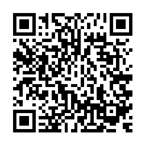 提前有经验的迦楼罗已经将需要做的事情全部告诉了摩呼罗迦二维码生成