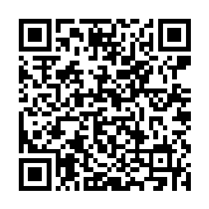 提前来陈铺的奶娘和桃花将最里面的一间布置成净室二维码生成