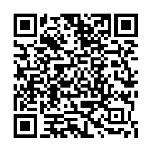 提前让人去厨房拿了一捧米拿了些香菇切碎熬粥二维码生成