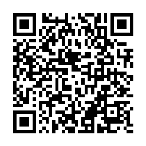 提名最佳影片的余下几部电影全部加起来才能和她比吧二维码生成