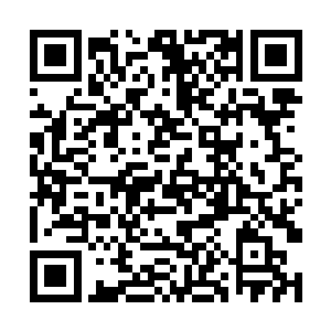 提名的作品全部都是在奥斯卡上获得重要肯定的作品二维码生成