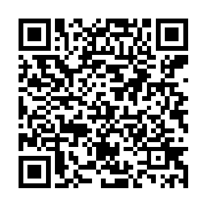 提多玛斯是凭借龙神的尸体获得了邪灵之海的认可二维码生成