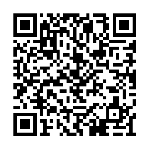 提着木箱怀着迫切的心情重新回到自己的寝宫中二维码生成