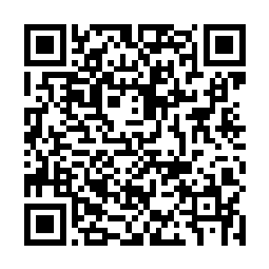 提而不中的还有音乐喜剧类最佳导演以及最佳男女配角二维码生成