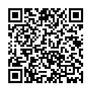 提起宴涥我确实会心软……可却不会像你以为的那样二维码生成