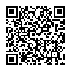 提醒着众修士许紫烟只是用八味草药炼制出来了增基丹二维码生成
