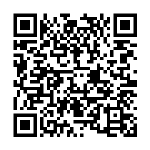 提醒那些因为高兴差点把三角马的缰绳给撒开的人二维码生成