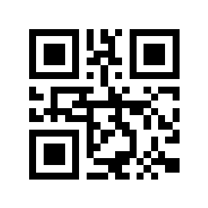 插了空二维码生成