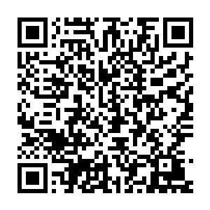 插在这里已经数百年没有半点动静的神剑竟然微不可查的震动了一下二维码生成