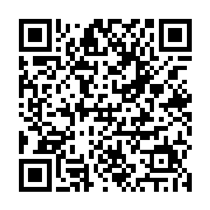 握在他手中的那枚古印顿时绽放出一个强大的能量波动二维码生成