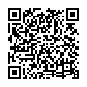 握着最后一张九品后期巅峰仙符的手轻微地颤抖着二维码生成