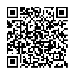 握着缰绳的手已经落入了一双厚实有力的大手里二维码生成