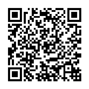 搜索善良的蜜蜂后援会就一定能够找到蜜蜂的微信公众号二维码生成