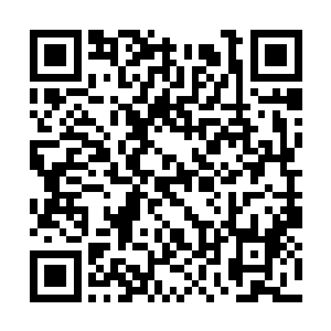 搜索着空气中每一道蕴含着吕轻尘神魂特征的波纹二维码生成