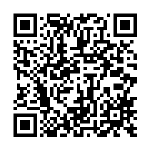 搞不好就会对史蒂夫庄园的这些邻居进行检查或是询问二维码生成