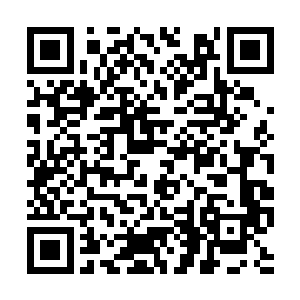 搞不好赤红牧首就会将这个天才少年扼杀在摇篮中二维码生成