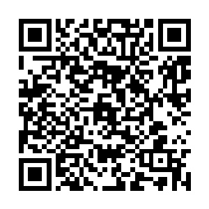 搞不清楚自己的师尊怎么一口叫破了这老妪的身份二维码生成