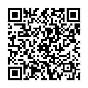 搞笑的宣传节目反而会令观众对它的定位感到迷糊二维码生成