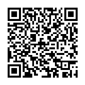 搬出来了圣人语录的清脆声音在一瞬间占据了上风二维码生成
