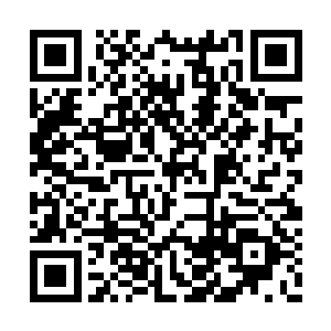 搭档的龙羽当然不会任凭对方攻击秦依雪的身后二维码生成