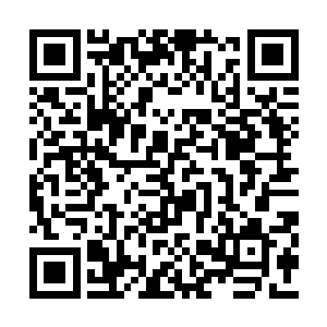 搭着萧晨朝着昊天星一处颇为壮观的传送阵飞去二维码生成