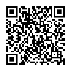 携带着毁天灭地的威能直接轰击在那头蛟龙的身体之上二维码生成