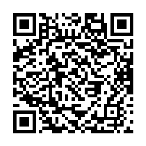 摄入手中翻看了一会儿便直接抹掉了苗毅留下的法源二维码生成