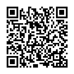 摆放在桌面上的几种药材突然化作一股淡淡的青烟二维码生成