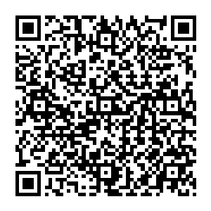 摇摇头 将心思收了回來 凭着那强横的吸引力 他很快的找到了那东西 那是一颗黑色珠子二维码生成