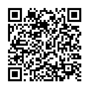 摊主目光扫了一眼他们身后的护卫和俩人身上的穿着二维码生成