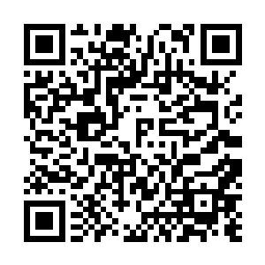 摔下来以为会残废的宁绯和叶子柯却掉在软绵绵的东西上二维码生成