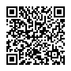 摔得七荤八素的钱老御史颤抖的声音一直喊个不停二维码生成