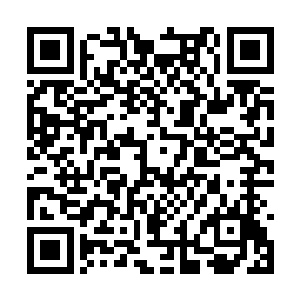 摘花老鬼就算是本事通天也照样逃不出阵法的攻击二维码生成