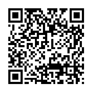 摩天之界的人族也不知道魔族之中的魔子是怎么来二维码生成