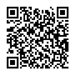 摩那耶更是亲自护送这四位受伤的域主返回不回关二维码生成
